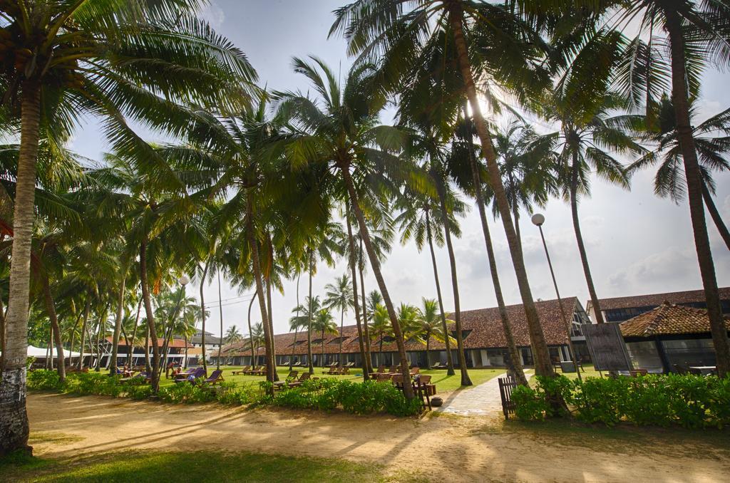 Thaala Bentota Hotel Exterior photo